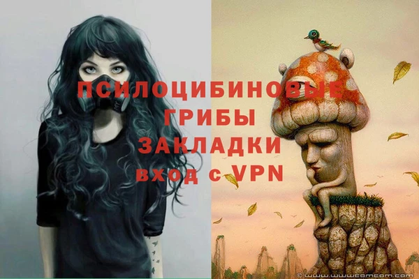 мяу мяу мука Алексин