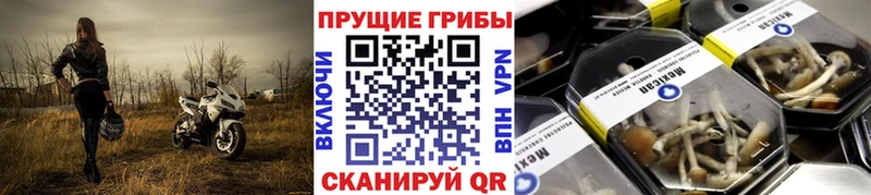 Галлюциногенные грибы ЛСД  Тулун 